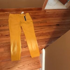 Express columnist dress pants, new without tags, never worn